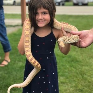 Meet your Posher, Patty